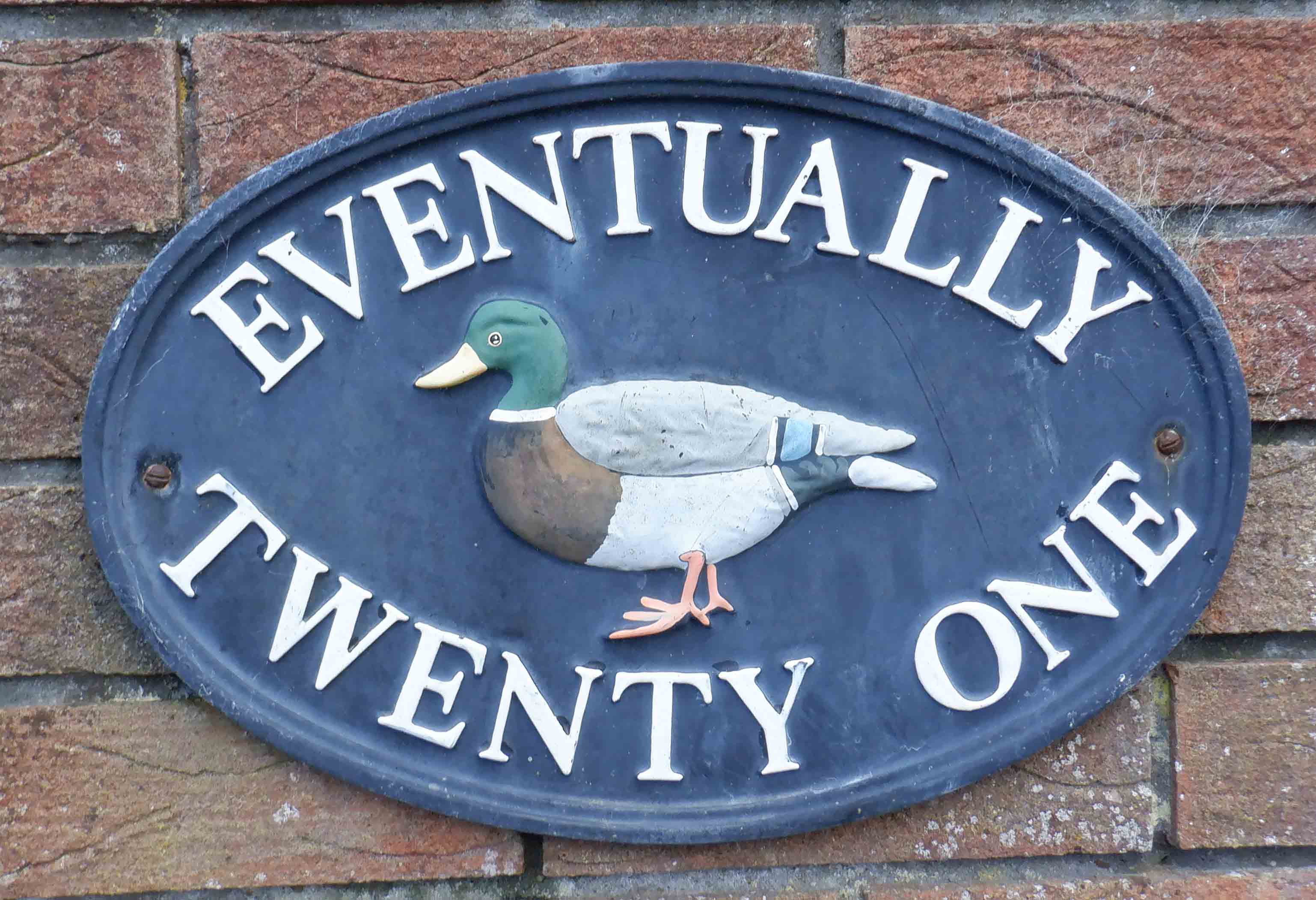 Clue 11 - 21 Ballymartin Road - a Duck (eventually)