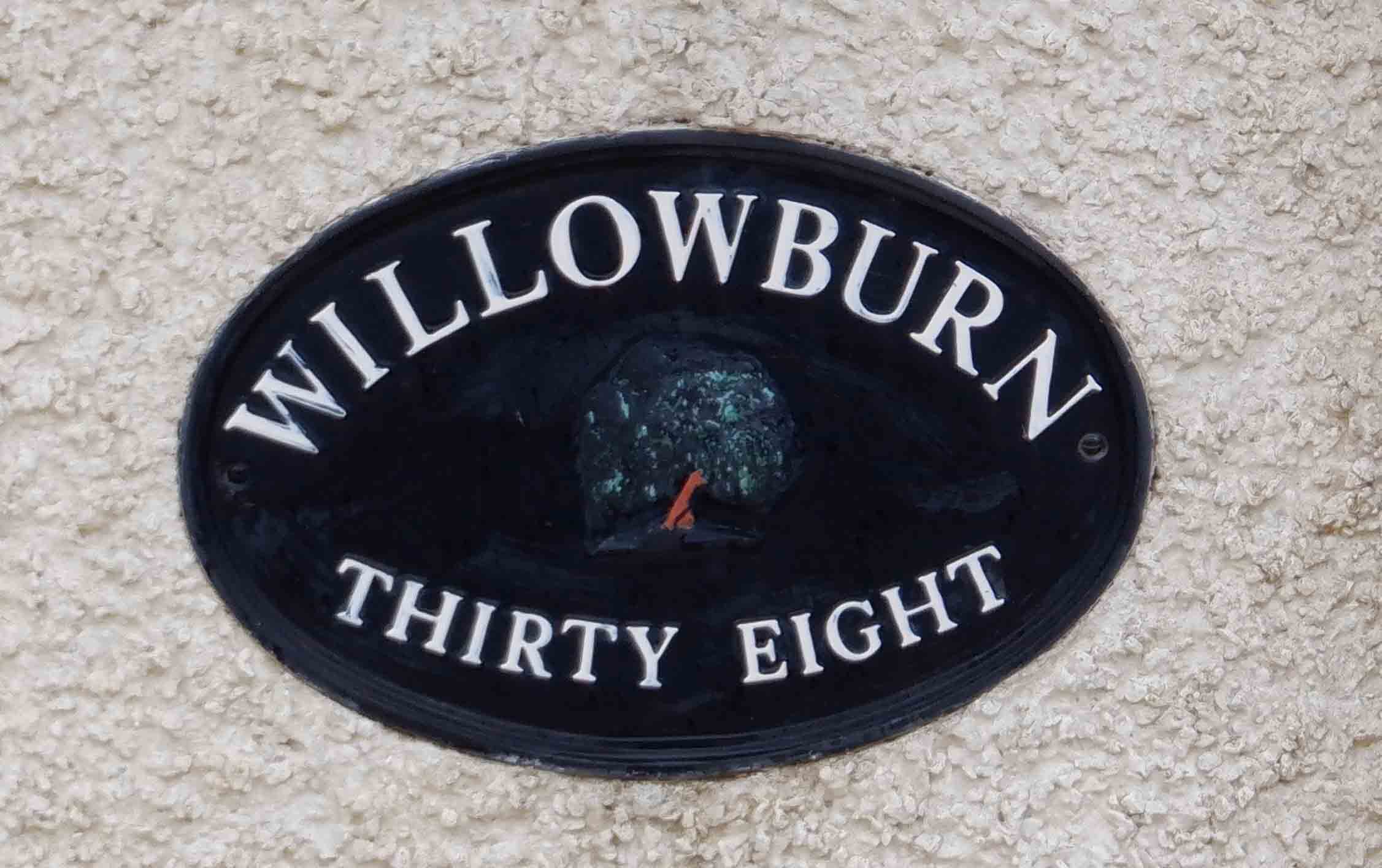 Clue 10 - 38 Ballydorn - a Willow Tree