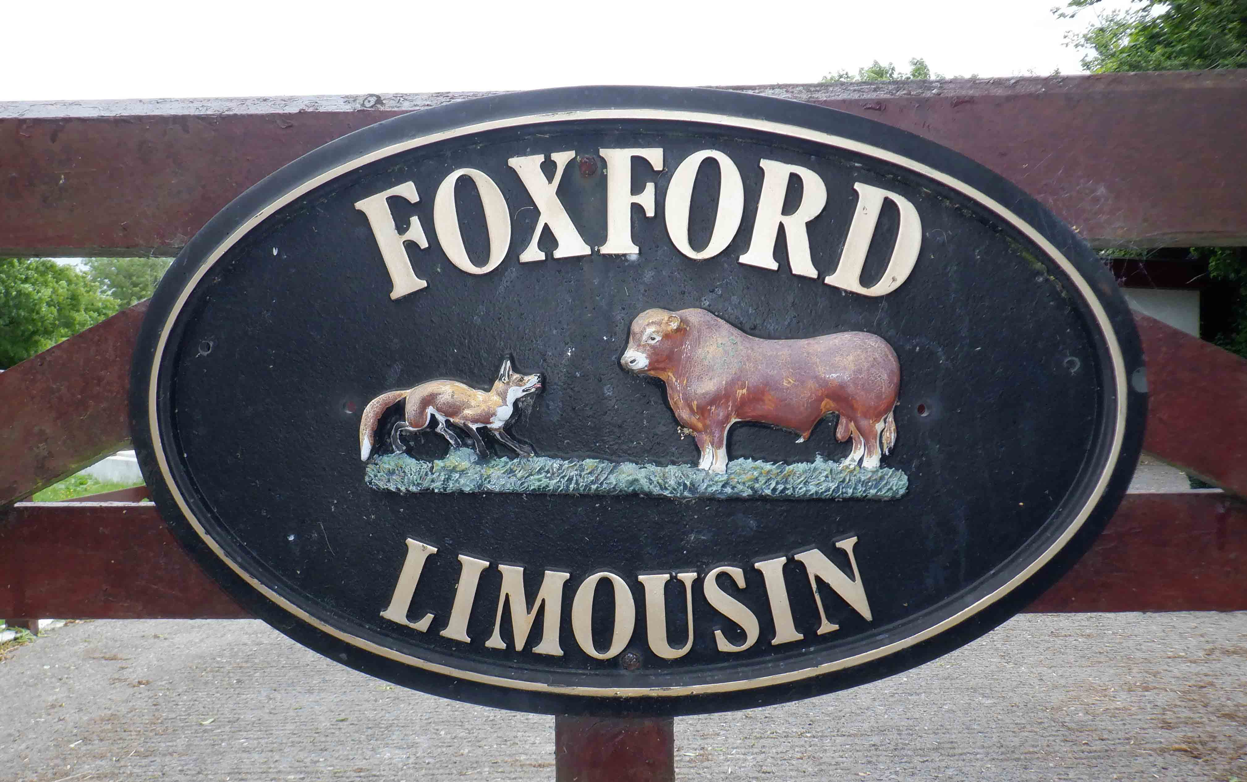 Clue 24 - Foxford, Saintfield Road - Fox and Bull